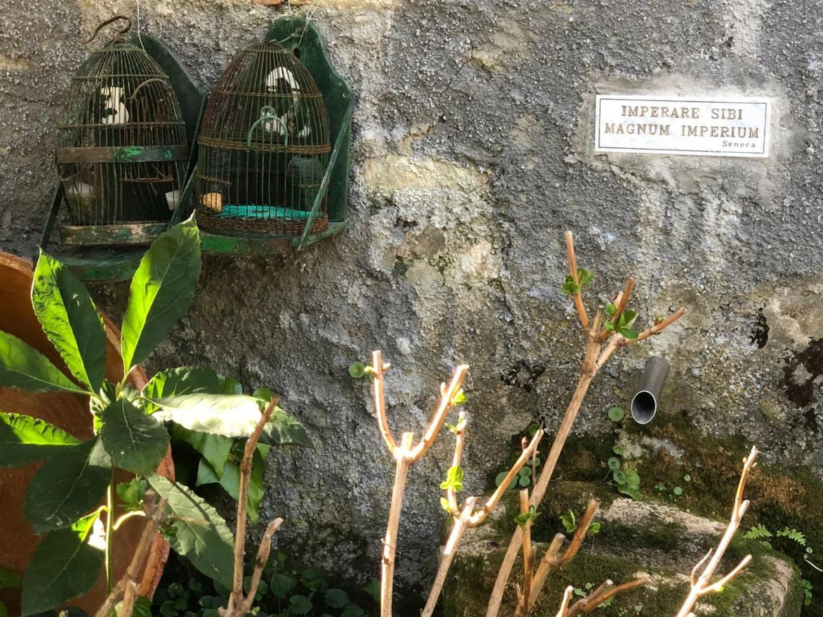 Molino De Santos Villa Benarraba Ngoại thất bức ảnh